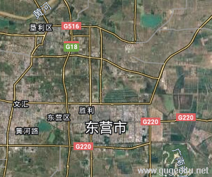 東營市衛(wèi)星地圖