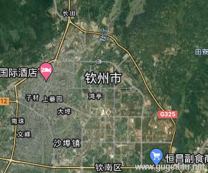 欽州市衛星地圖