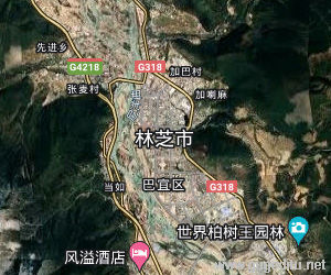 林芝地區(qū)衛(wèi)星地圖